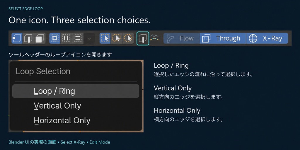 【記念セール】cvELD X-Ray X-Loop