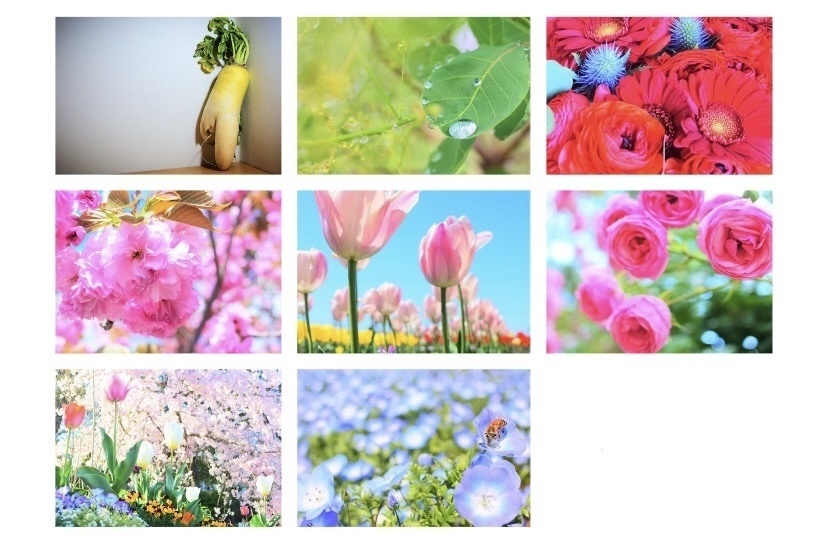 《02/15 20時》🌸春シャツ🌸