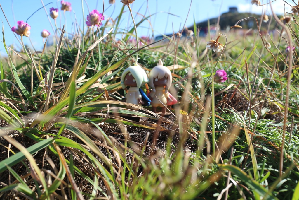 楽園のおさげちゃん