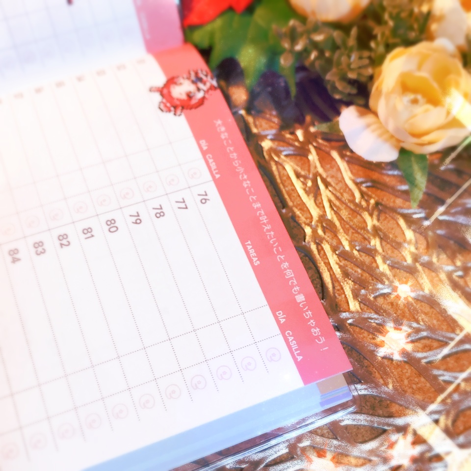 ダコ帳2025🇪🇸【初版】