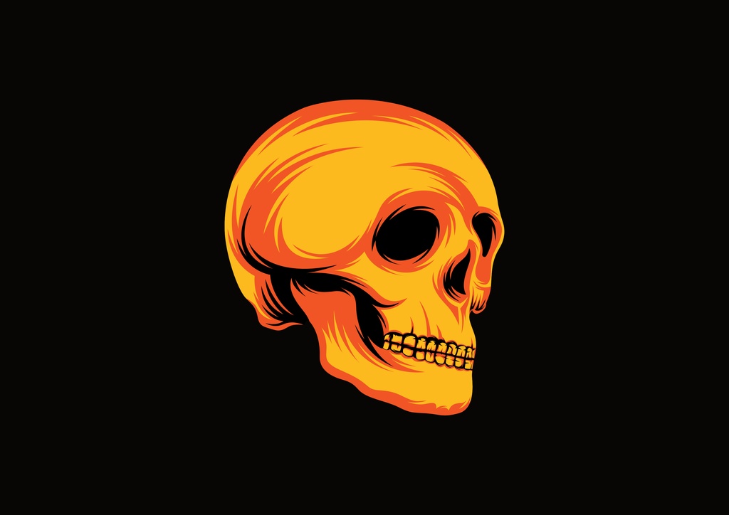 Skull