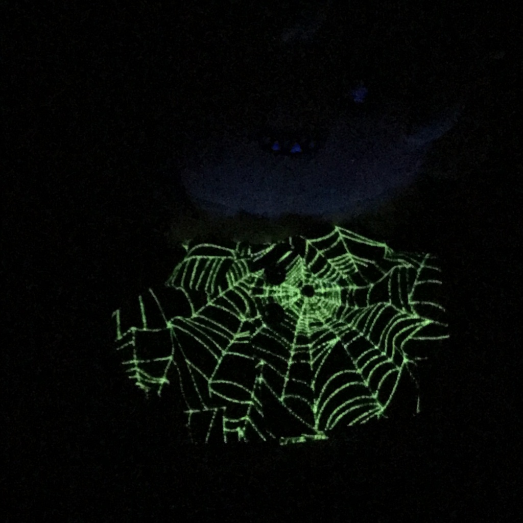 ぬい服 ハロウィン！光る！！スパイダーなシャツ！
