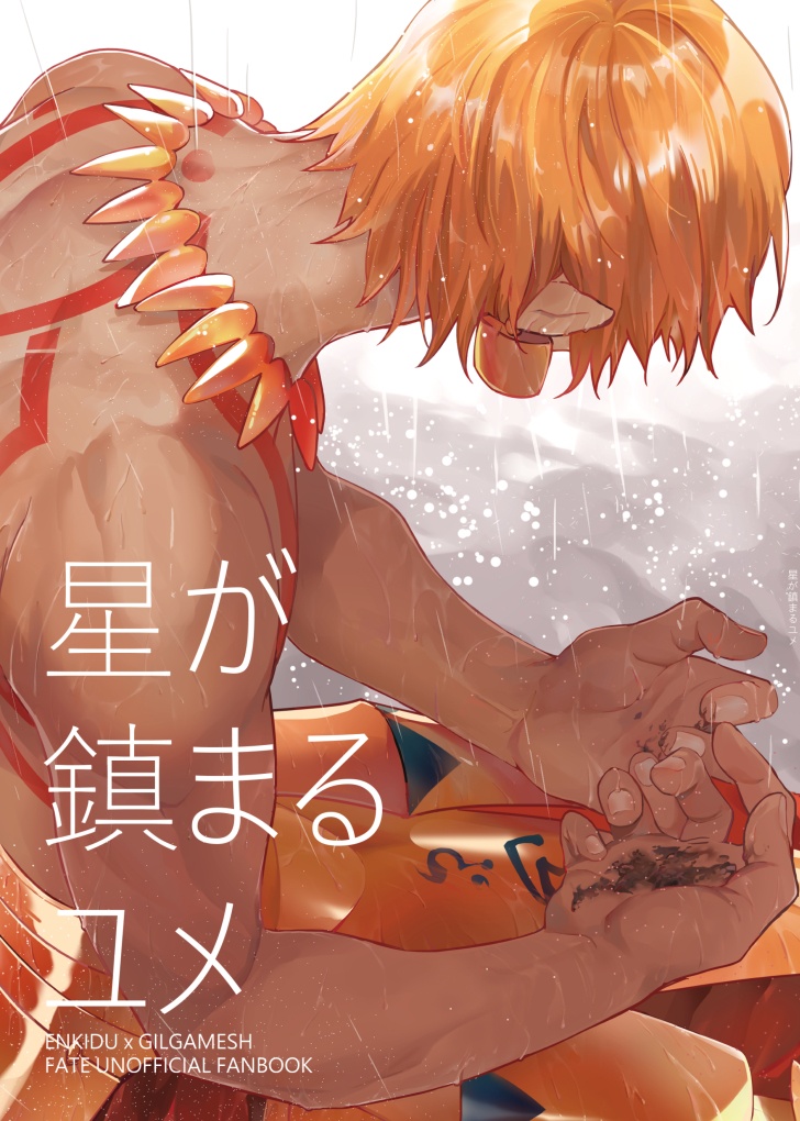 星が鎮まるユメ