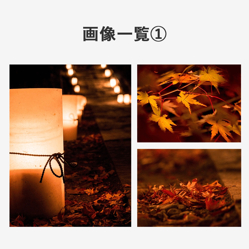 【商用利用OK】写真素材〈紅葉〉【TRPG用】