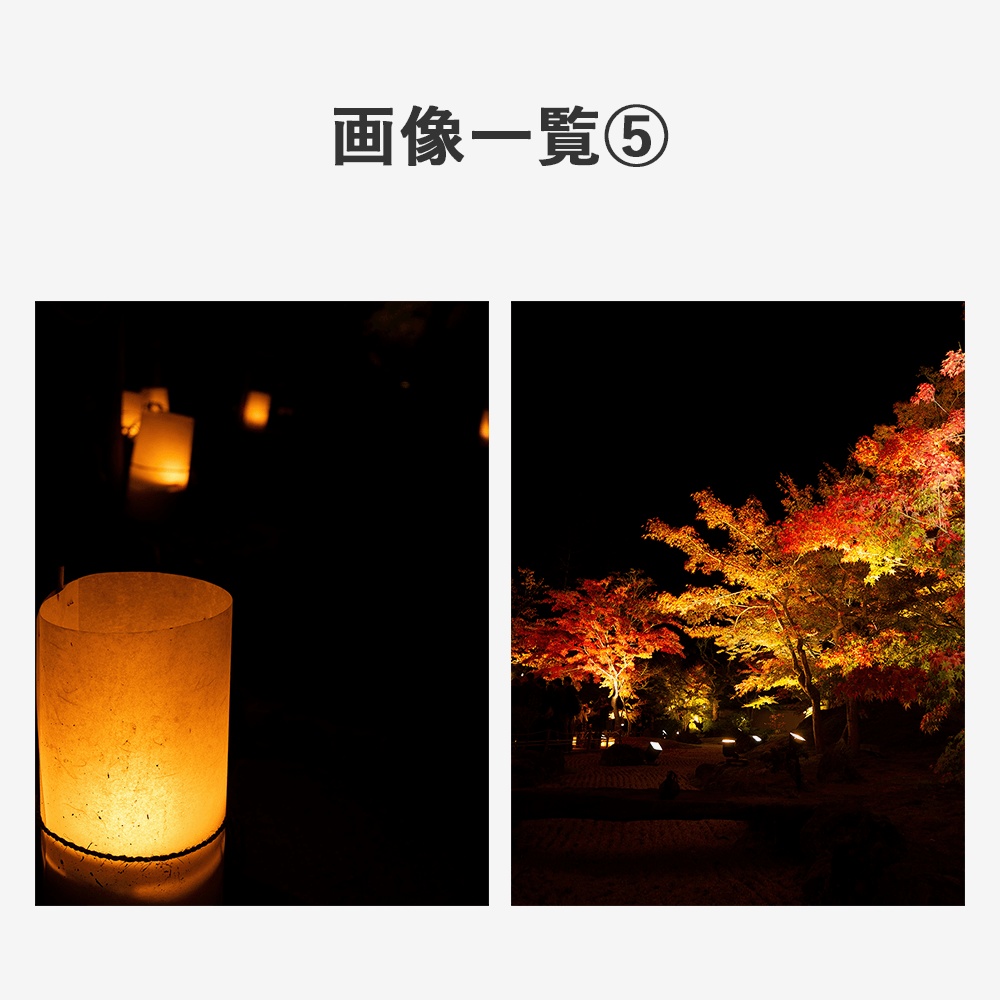 【商用利用OK】写真素材〈紅葉〉【TRPG用】