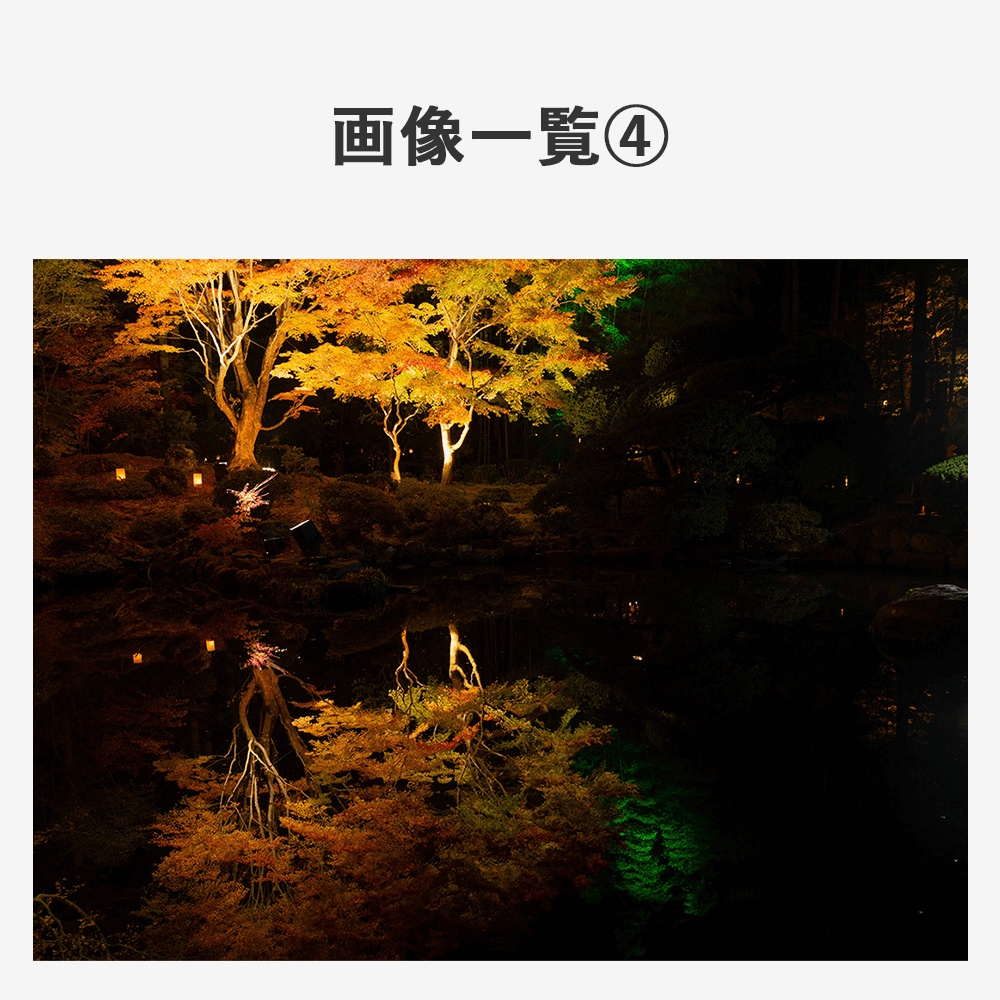 【商用利用OK】写真素材〈紅葉〉【TRPG用】