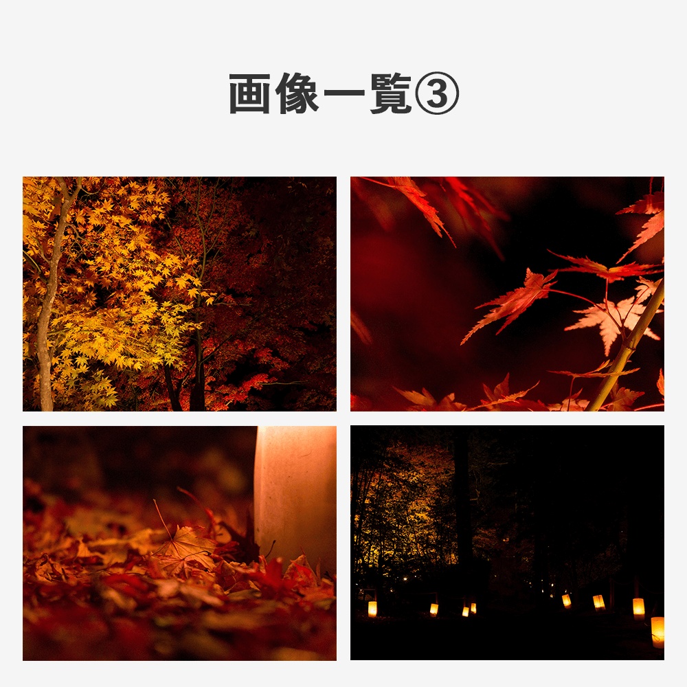 【商用利用OK】写真素材〈紅葉〉【TRPG用】