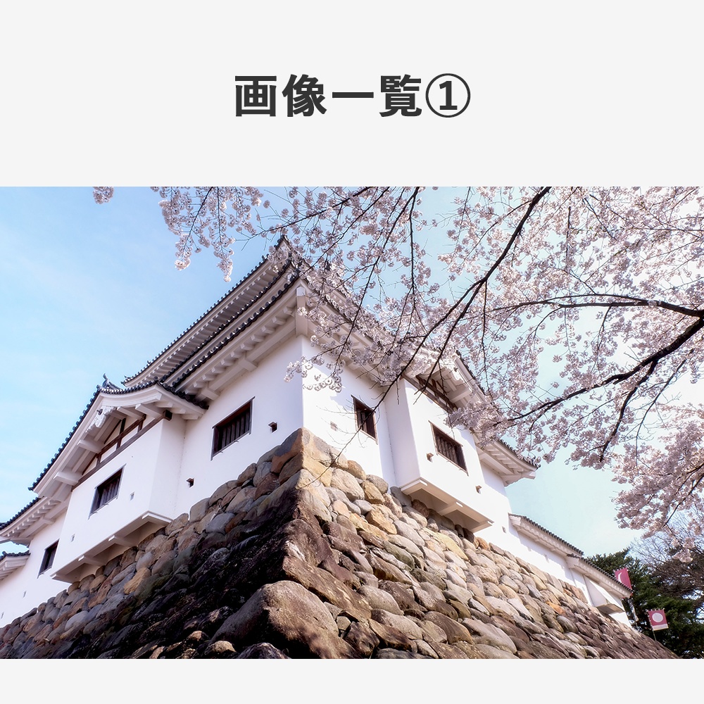 【商用利用OK】写真素材〈桜〉【TRPG用】