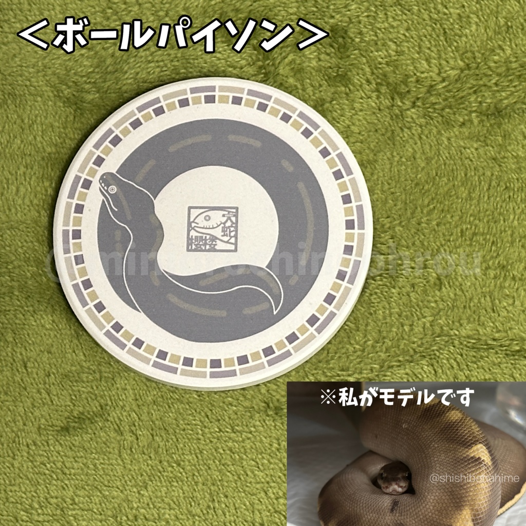 ■へびマルシェSALE対象■【co002】お蛇のコースター