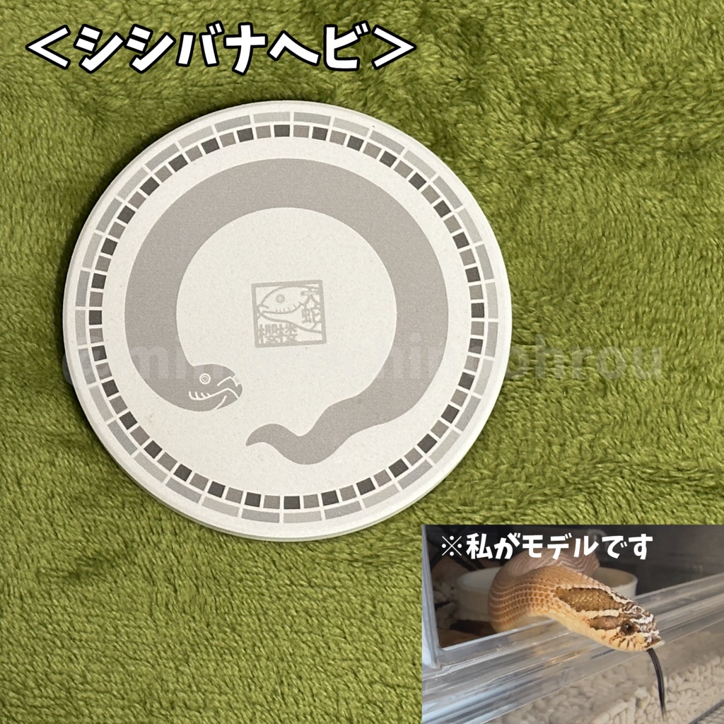 ■へびマルシェSALE対象■【co002】お蛇のコースター