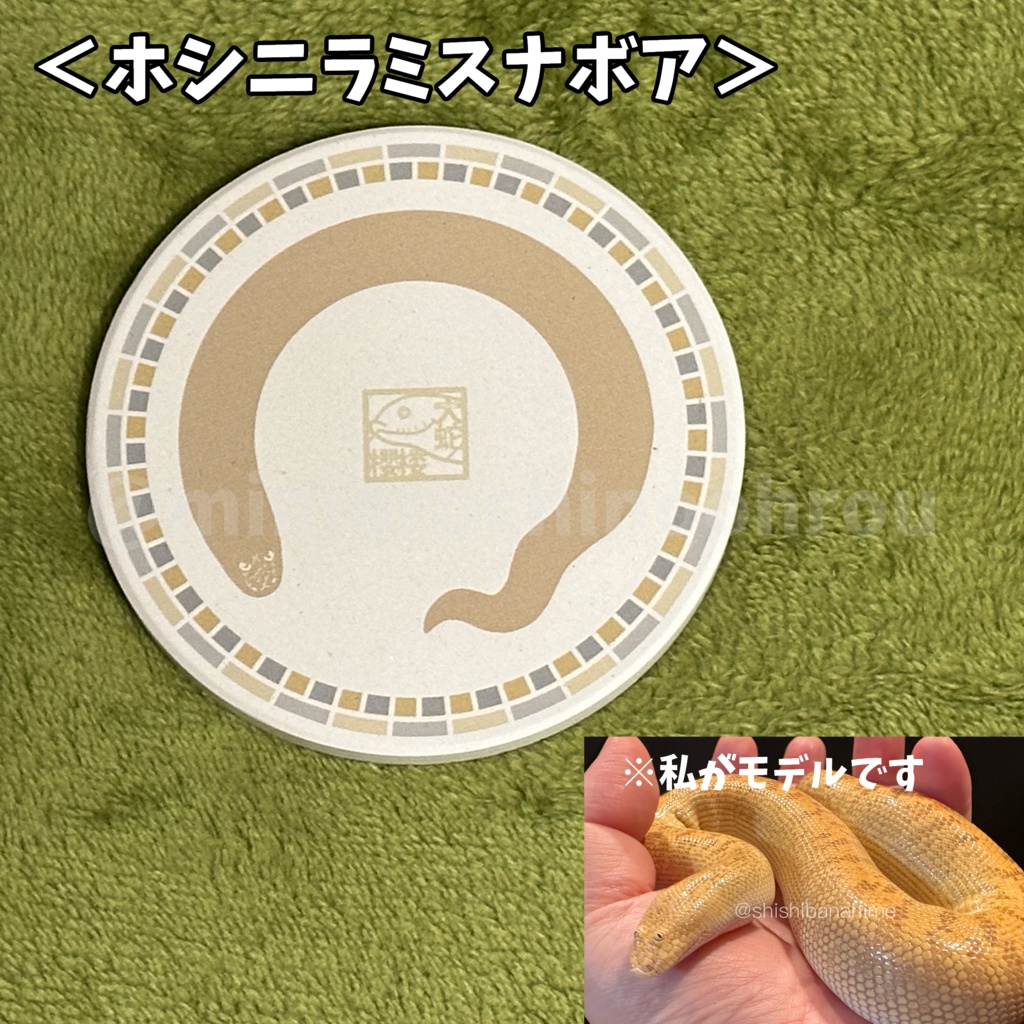 ■へびマルシェSALE対象■【co002】お蛇のコースター