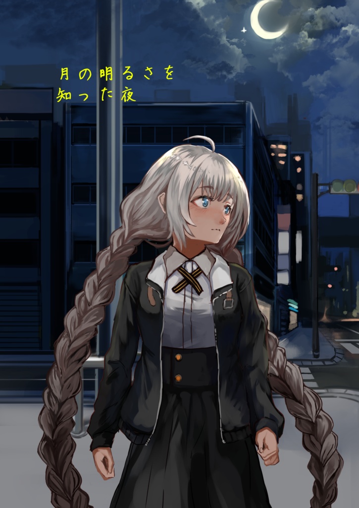 月の明るさを知った夜