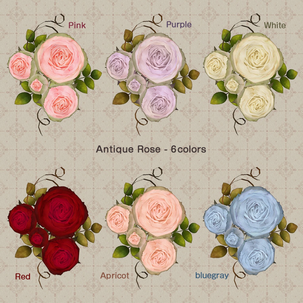 アンティークなバラ