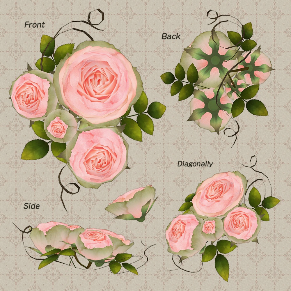 アンティークなバラ