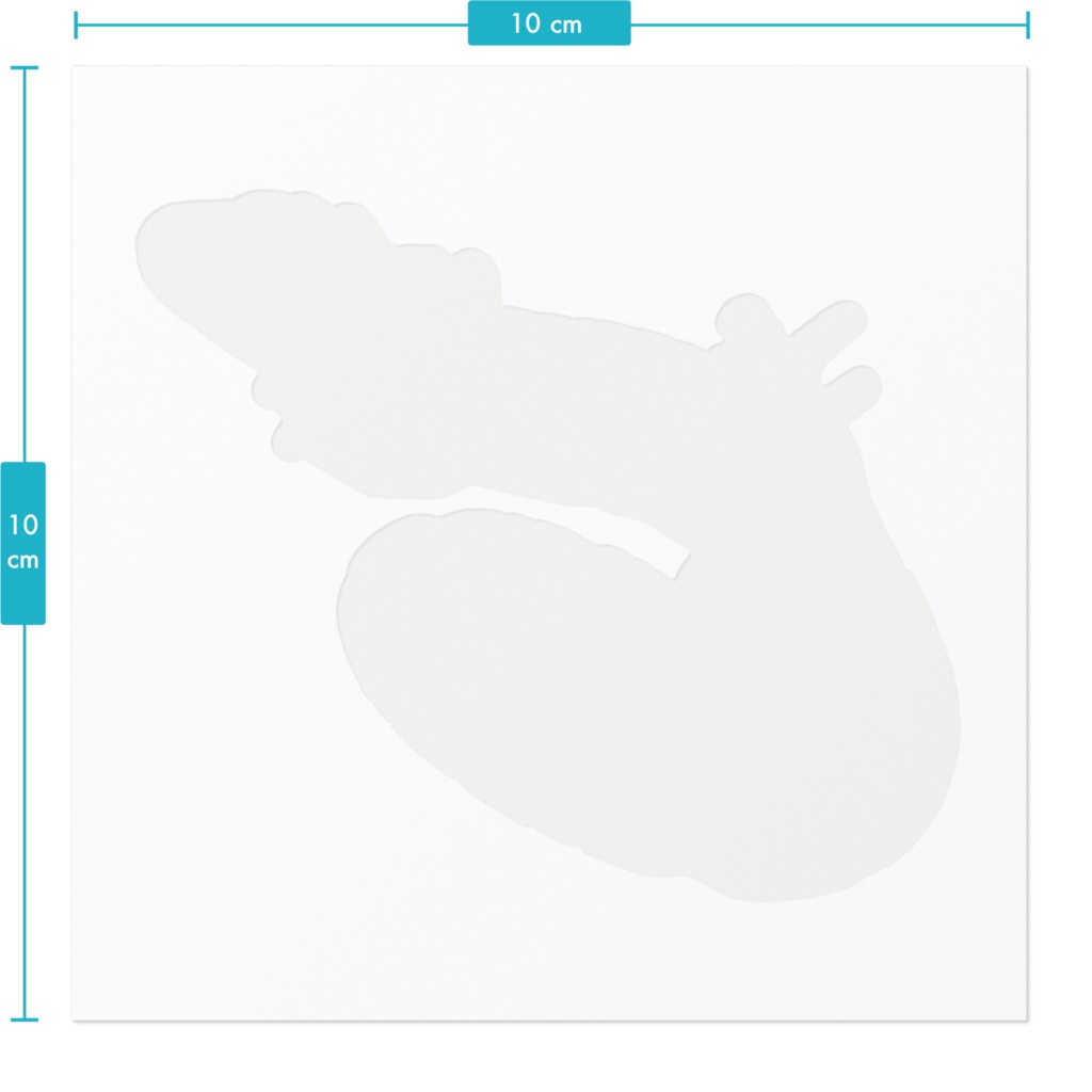 ステッカー:トカゲ(カラー)