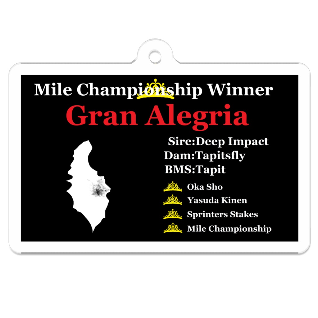 グランアレグリア　マイルチャンピオンシップ　キーホルダー　ブラック