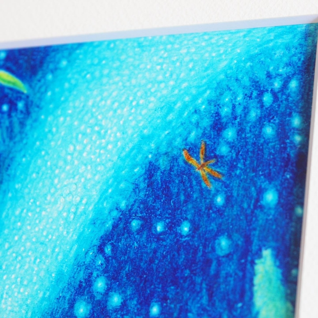 色鉛筆画「いつも君が」