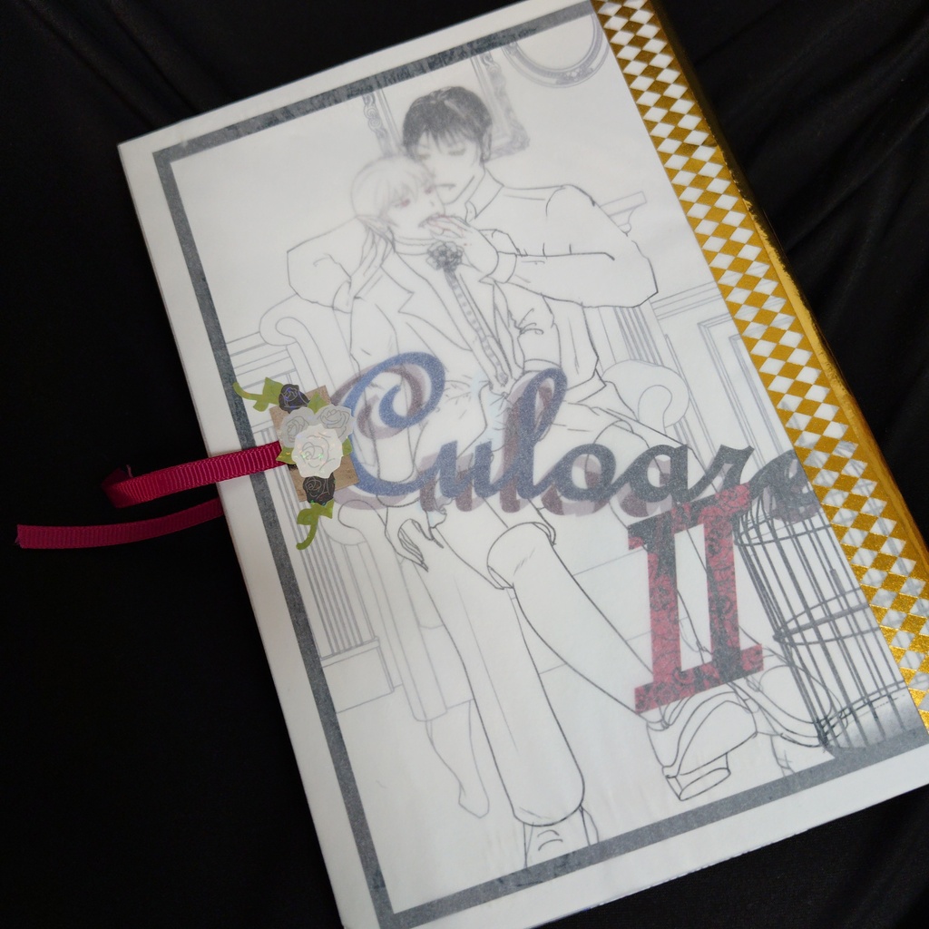 culoareⅡ