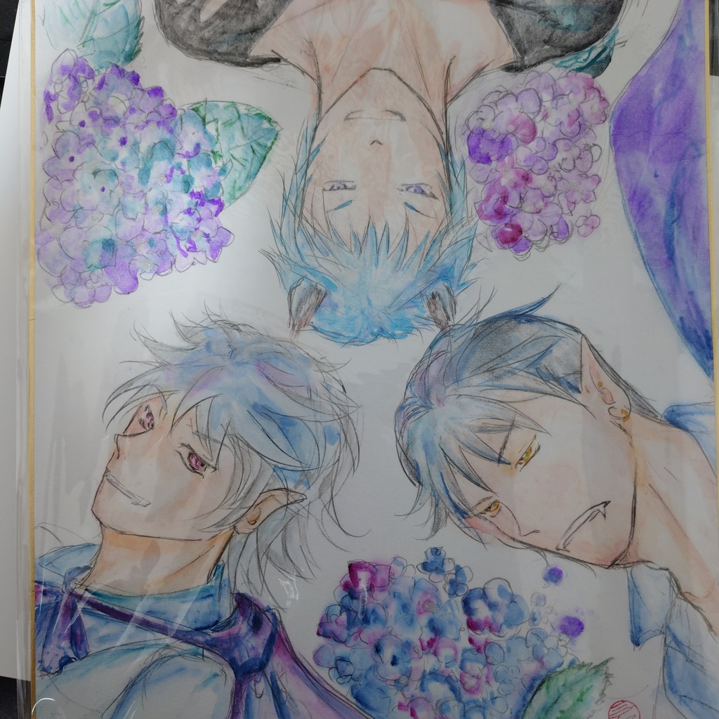 大きな色紙　紫陽花