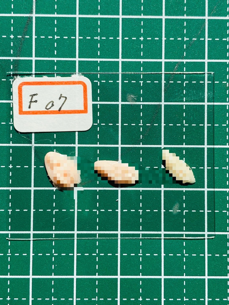 ふぇちらぼ 特別パーツ F07 Doll改造 メガミ 人肌スキン チェスト 乳パーツ Soft Skin