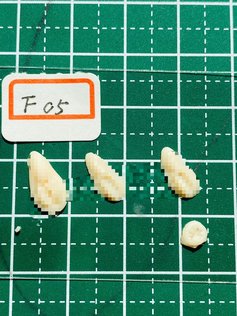 ふぇちらぼ 特別パーツ F05 Doll改造 メガミ 人肌スキン チェスト 乳パーツ Soft Skin