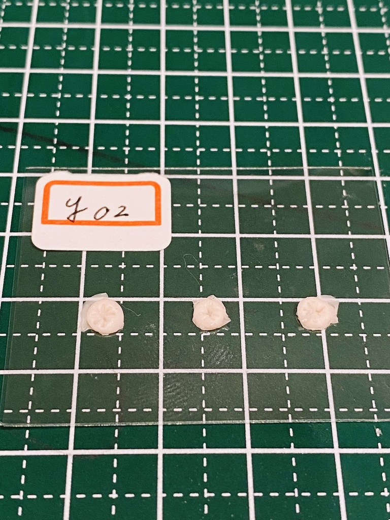 ふぇちらぼ アナ○ Y01-03 Doll改造 メガミ 人肌スキン チェスト 乳パーツ Soft Skin