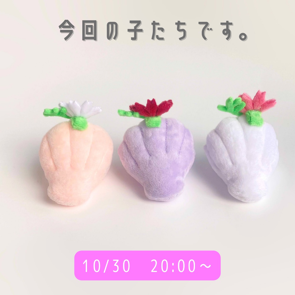 10/30(木)20:00~◆ホタテのぬいぐるみお迎えページ