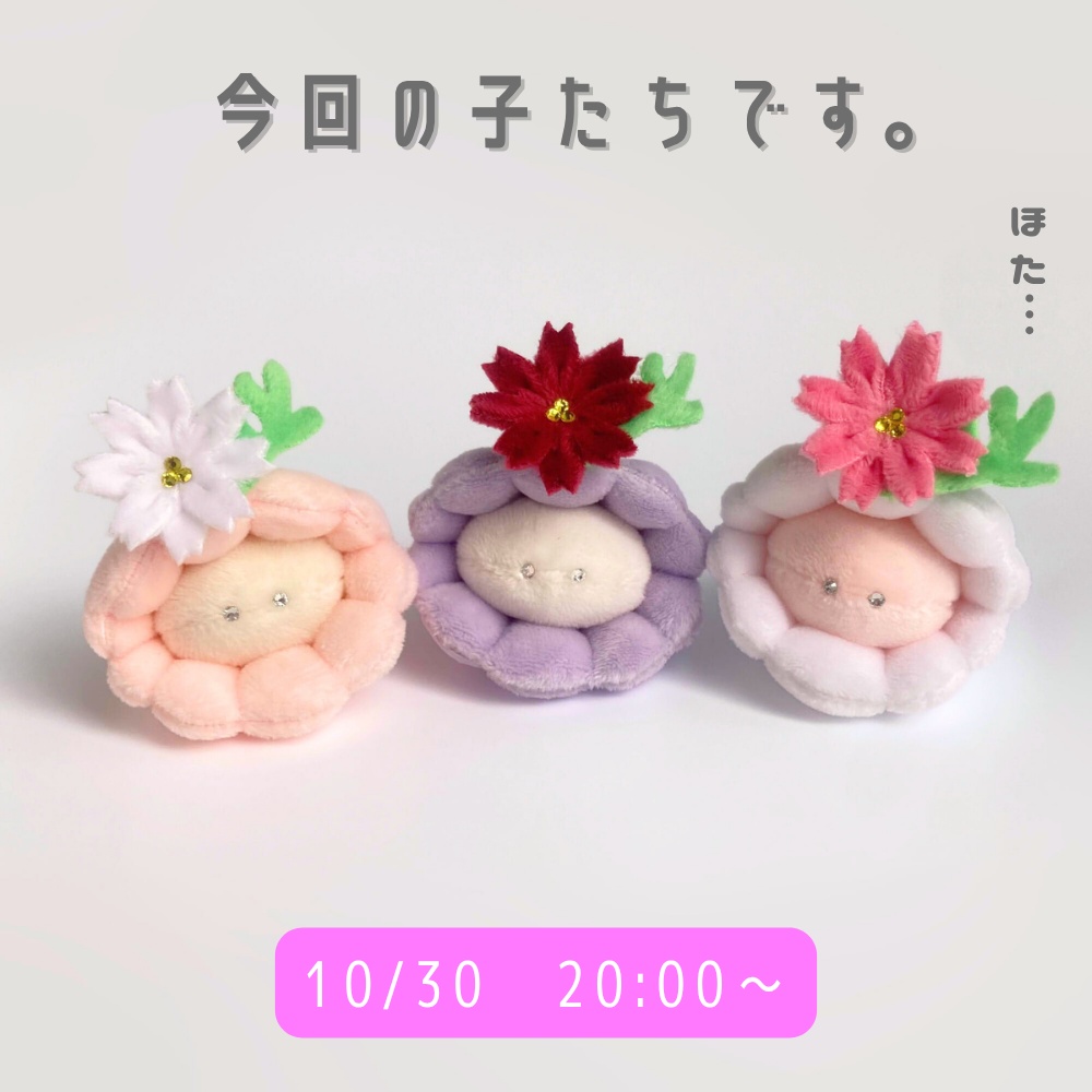 10/30(木)20:00~◆ホタテのぬいぐるみお迎えページ