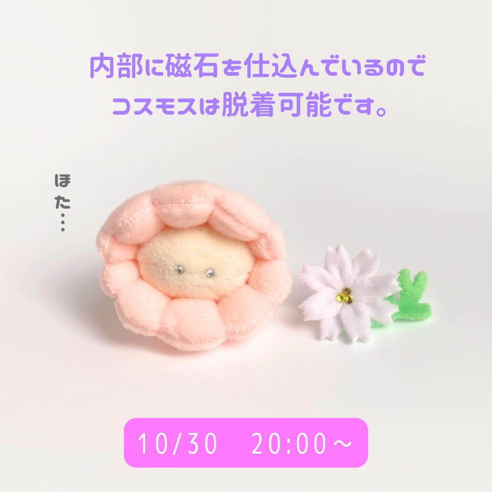 10/30(木)20:00~◆ホタテのぬいぐるみお迎えページ