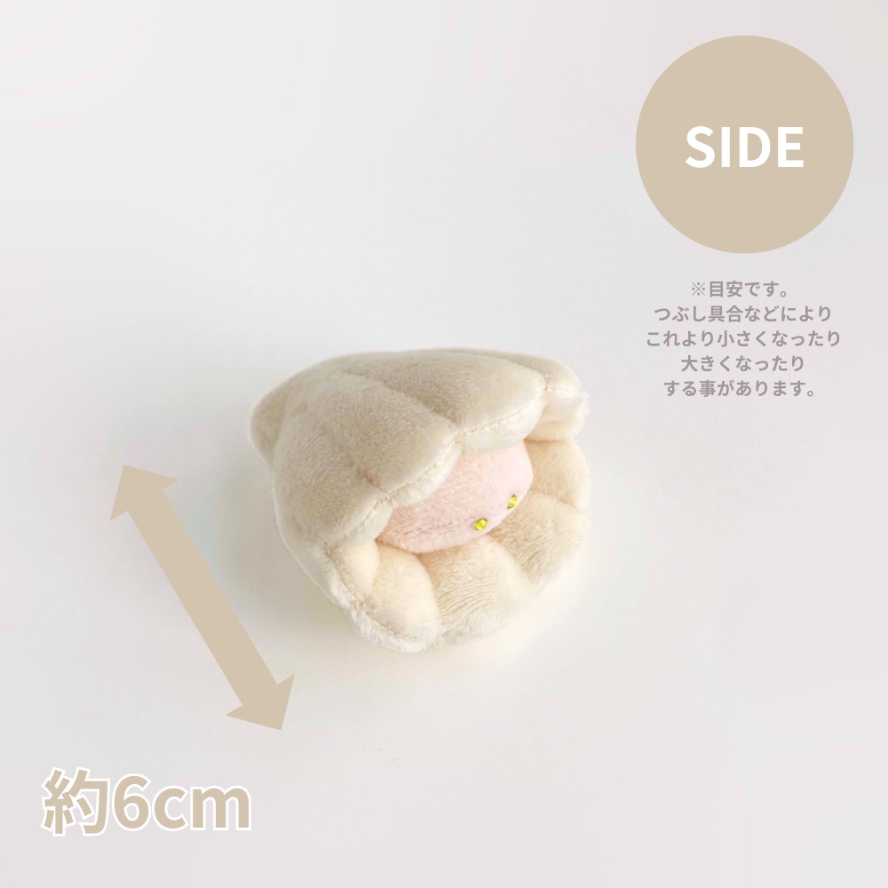 10/30(木)20:00~◆ホタテのぬいぐるみお迎えページ