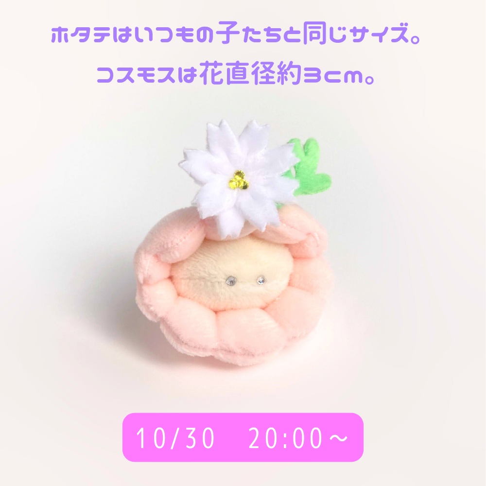10/30(木)20:00~◆ホタテのぬいぐるみお迎えページ
