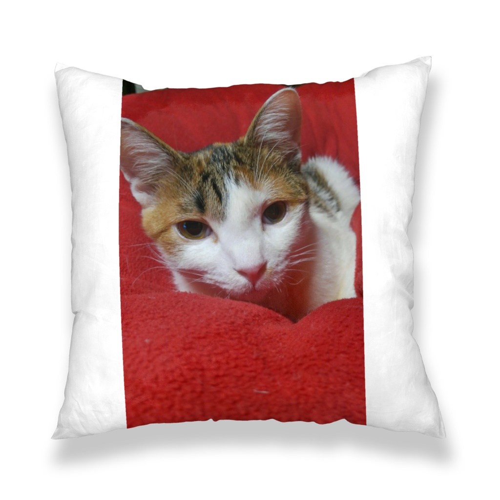 我が子の、可愛いクッションカバー