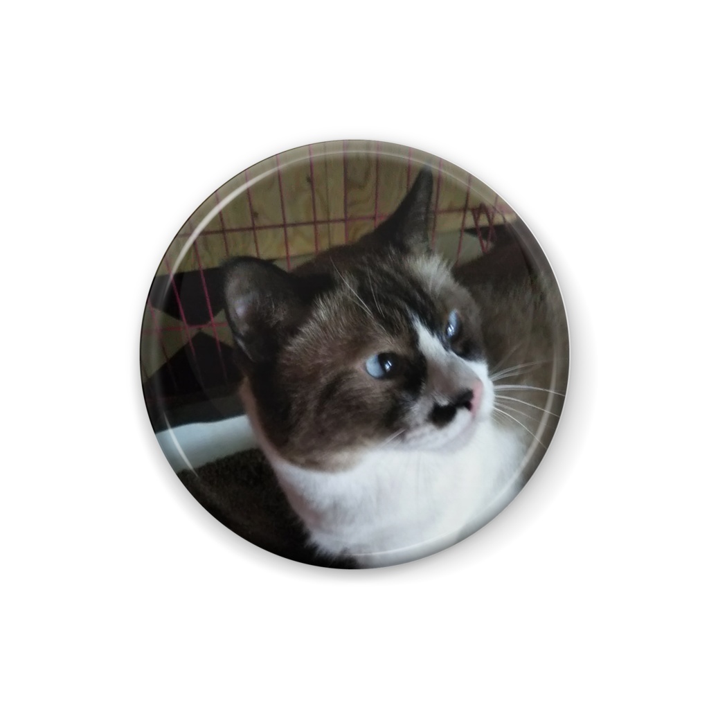 保護猫缶バッジ