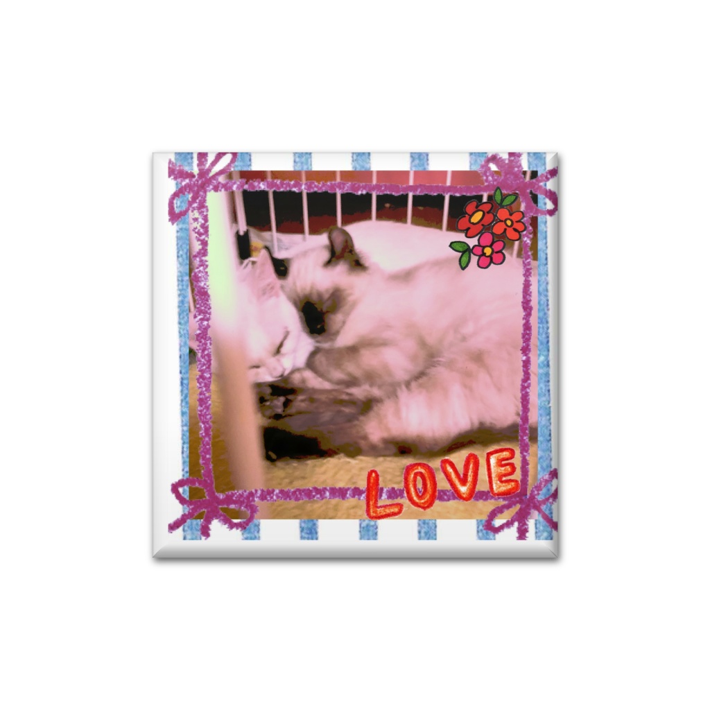 保護猫缶バッジ