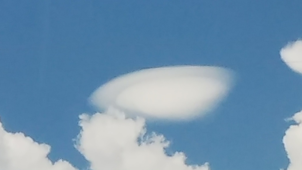 青空のボランティアTシャツ