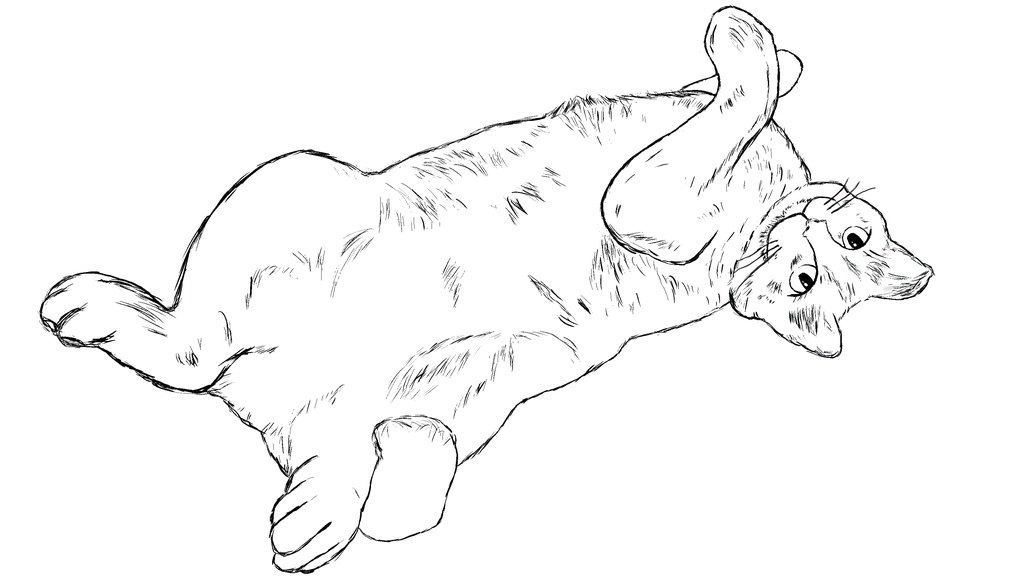 毛玉君イラスト