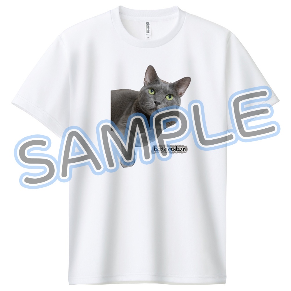 毛玉君12歳記念ドライTシャツ