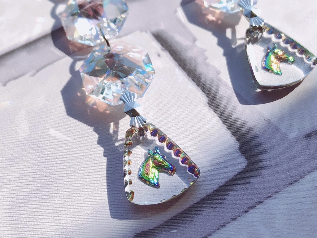 🐴サマのつよいピアス/イヤリング