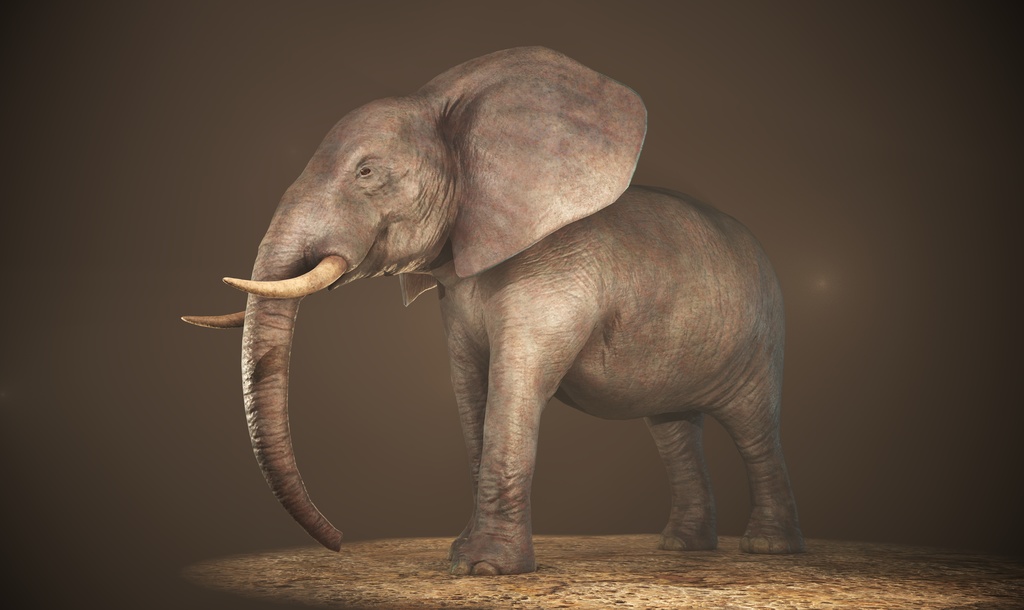 オリジナル 象  3Dモデル