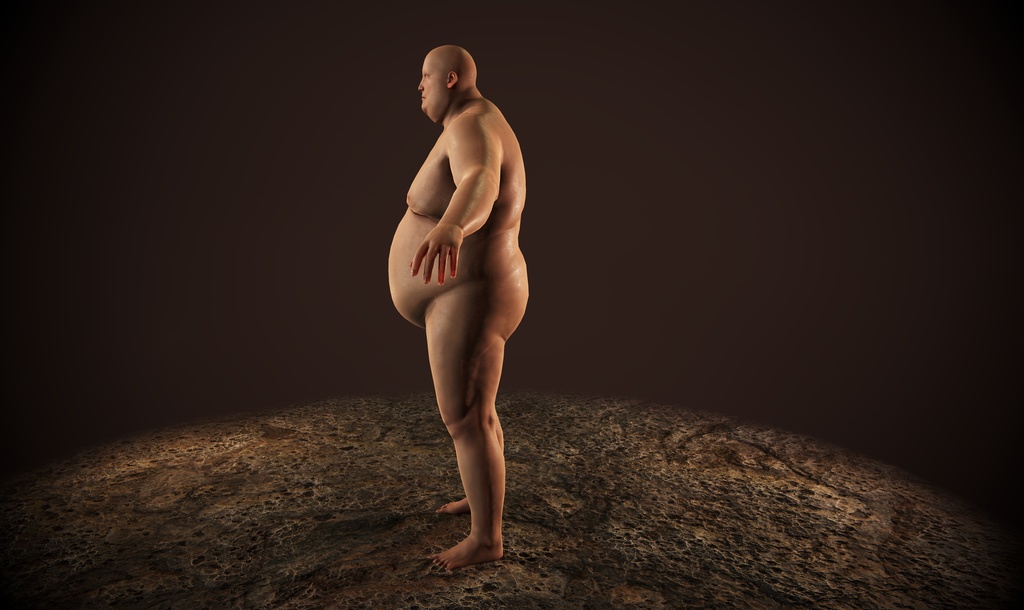 素体 肥満男性 3Dモデル