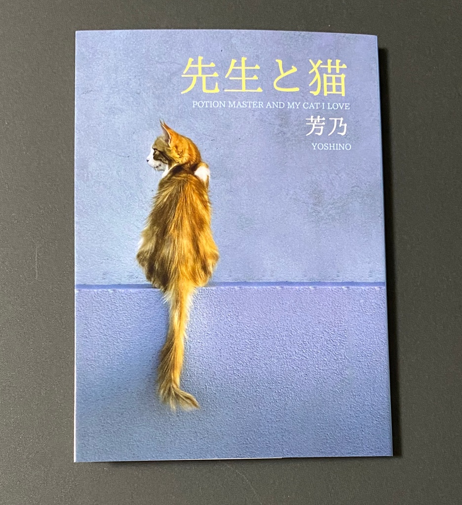【HP夢】先生と猫