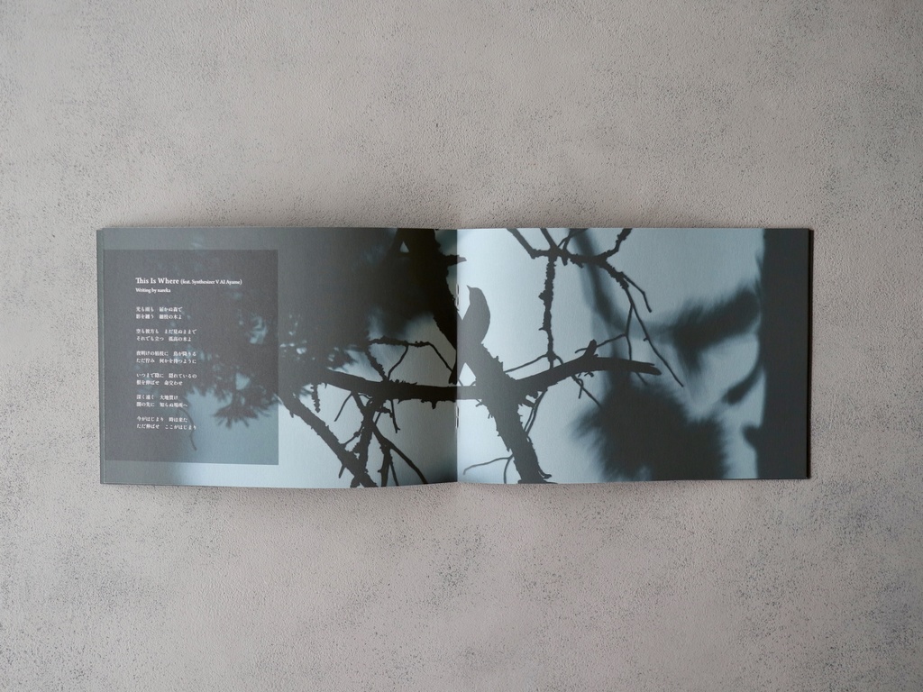 『Where the Roots Converge』 / nareka