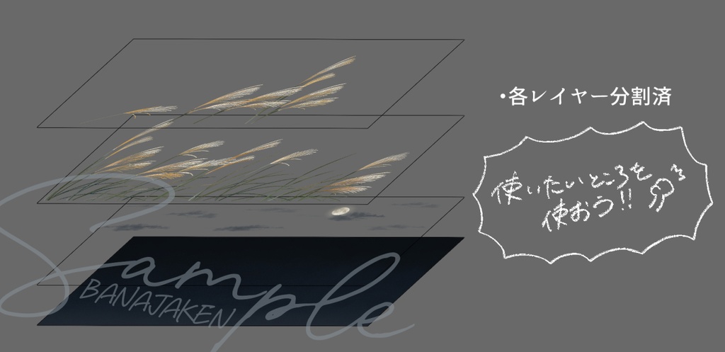 無料有!【配信用素材/TRPG素材/背景素材】風に揺らぐ芒(ススキ)WebP/PNG