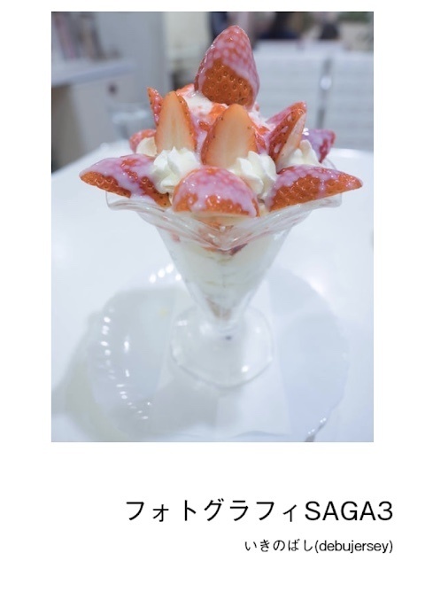 フォトグラフィ SAGA3