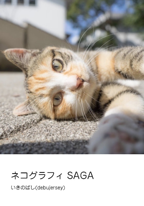 ネコグラフィ SAGA