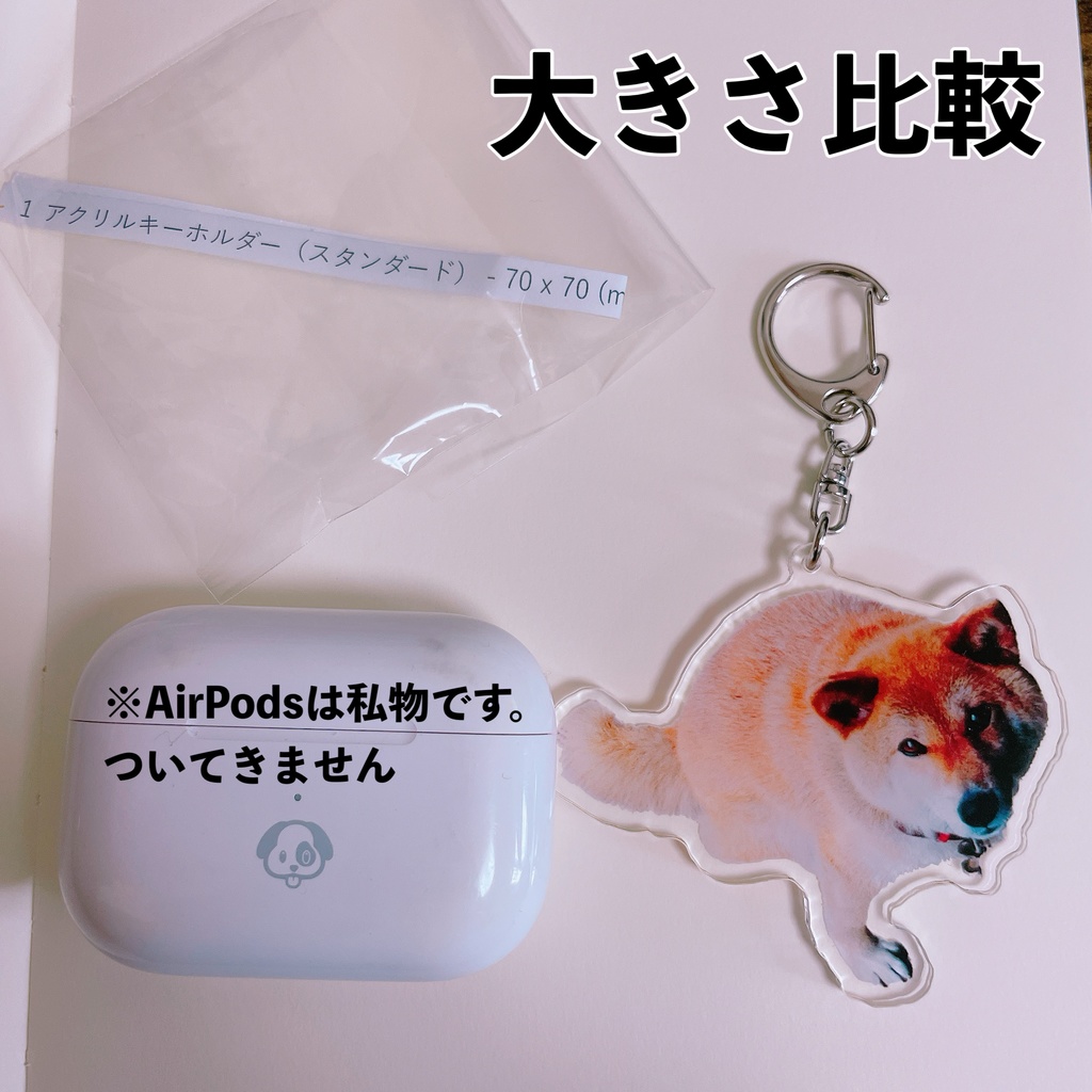 柴犬るあちゃんアクキー