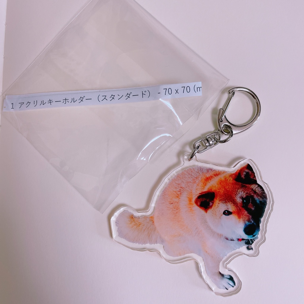 柴犬るあちゃんアクキー