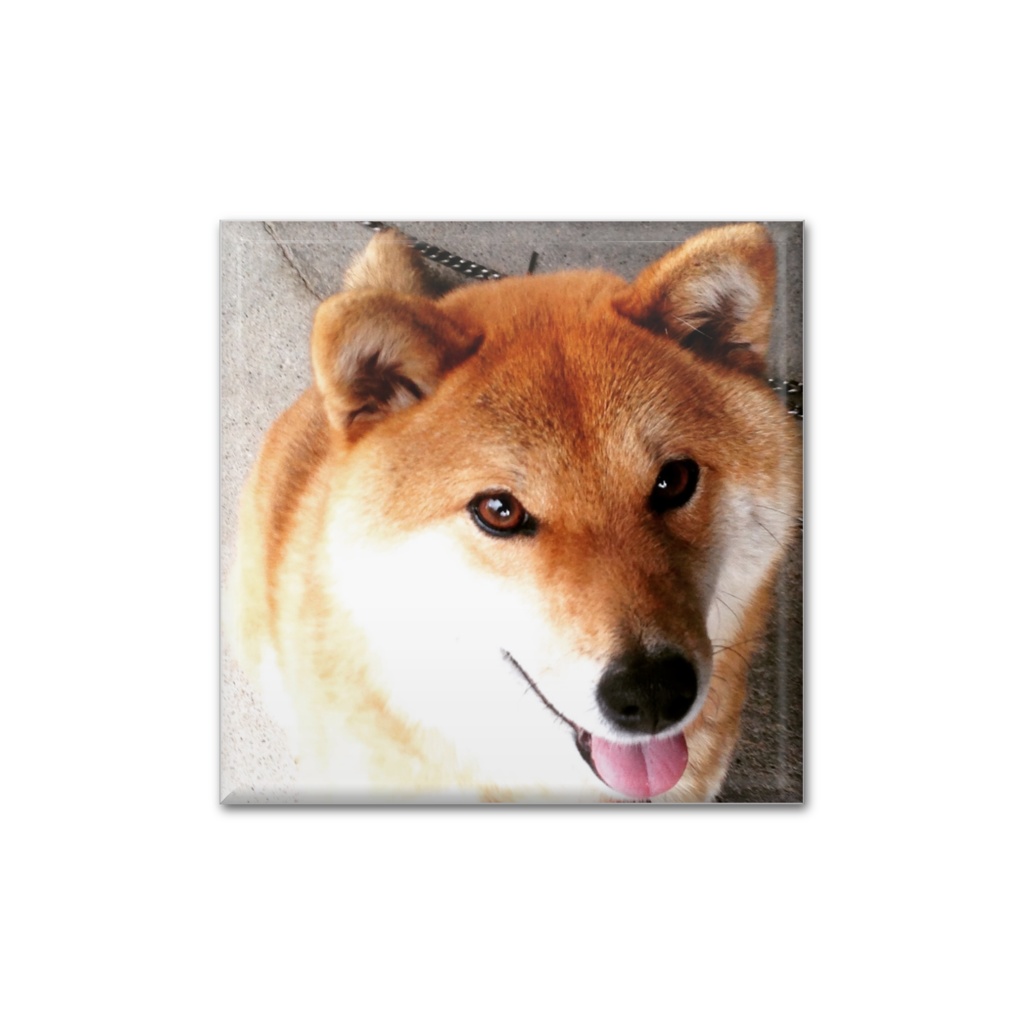 舌ぺろ缶バッジ