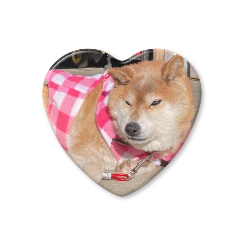 ピンクダウンジャケット♡缶バッチ