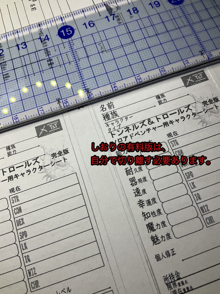 トンネルズ&トロールズ私家版キャラクターシート